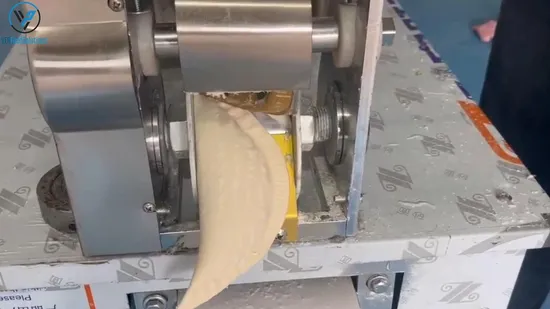 Machine de fabrication chinoise de boulettes/empanadas/samosas/raviolis/wontons/rouleaux de printemps avec CE