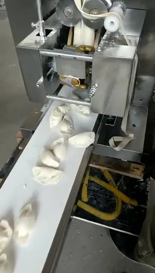 Machine automatique de fabrication de gyozas, samosas, boulettes, samosas, en acier inoxydable, 110 V/220 V, Japon