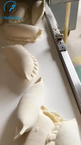 Machine à fabriquer des boulettes de pâte Pierogi/Jiaozi/Pelmeni/Wonton/Rouleau de printemps, homologuée CE, pour le marché américain