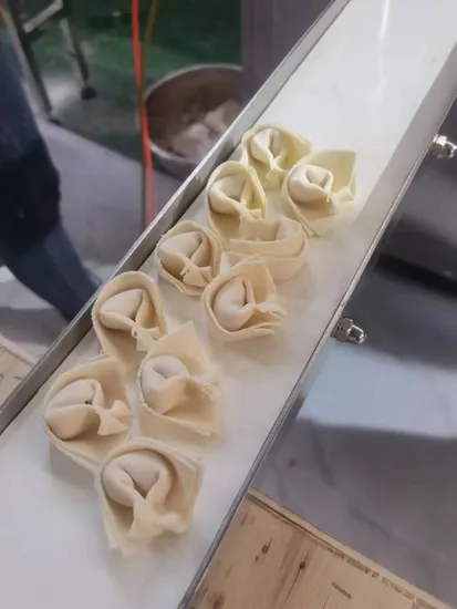 Machine à raviolis en acier inoxydable, machine à wonton, machine à raviolis Siomai, à bon prix